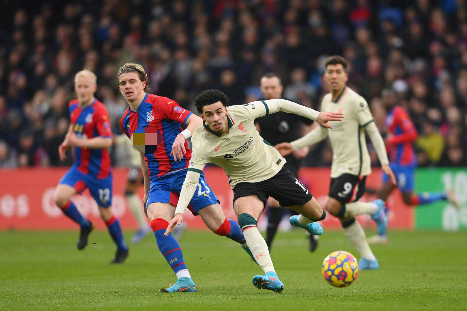 膝盖作为足 膝盖作为足